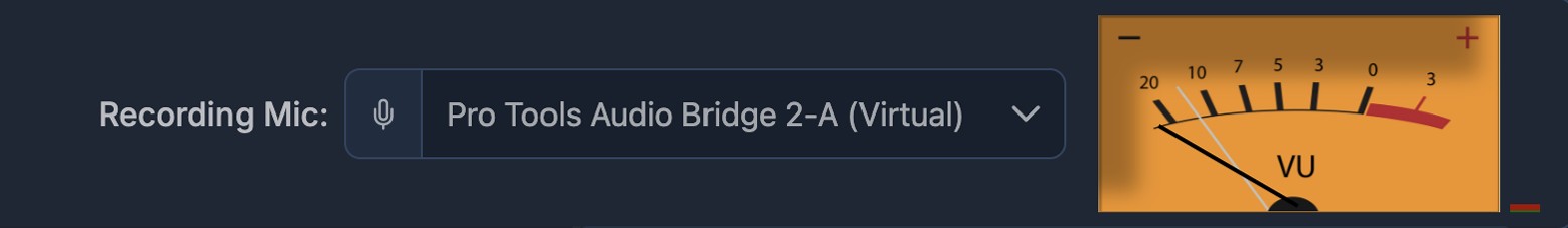 DIVA Recording Microphone